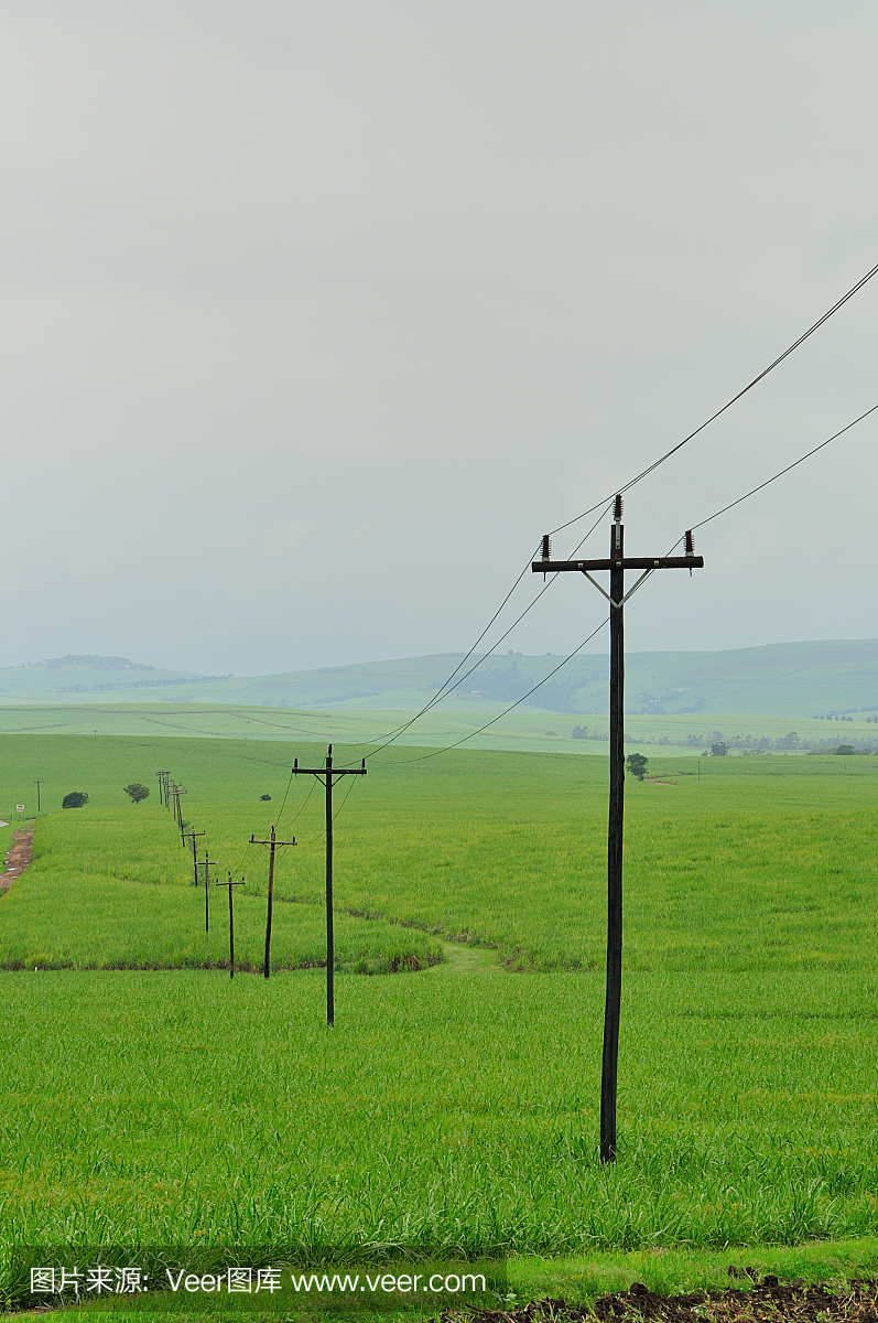 路边的田地里有电线